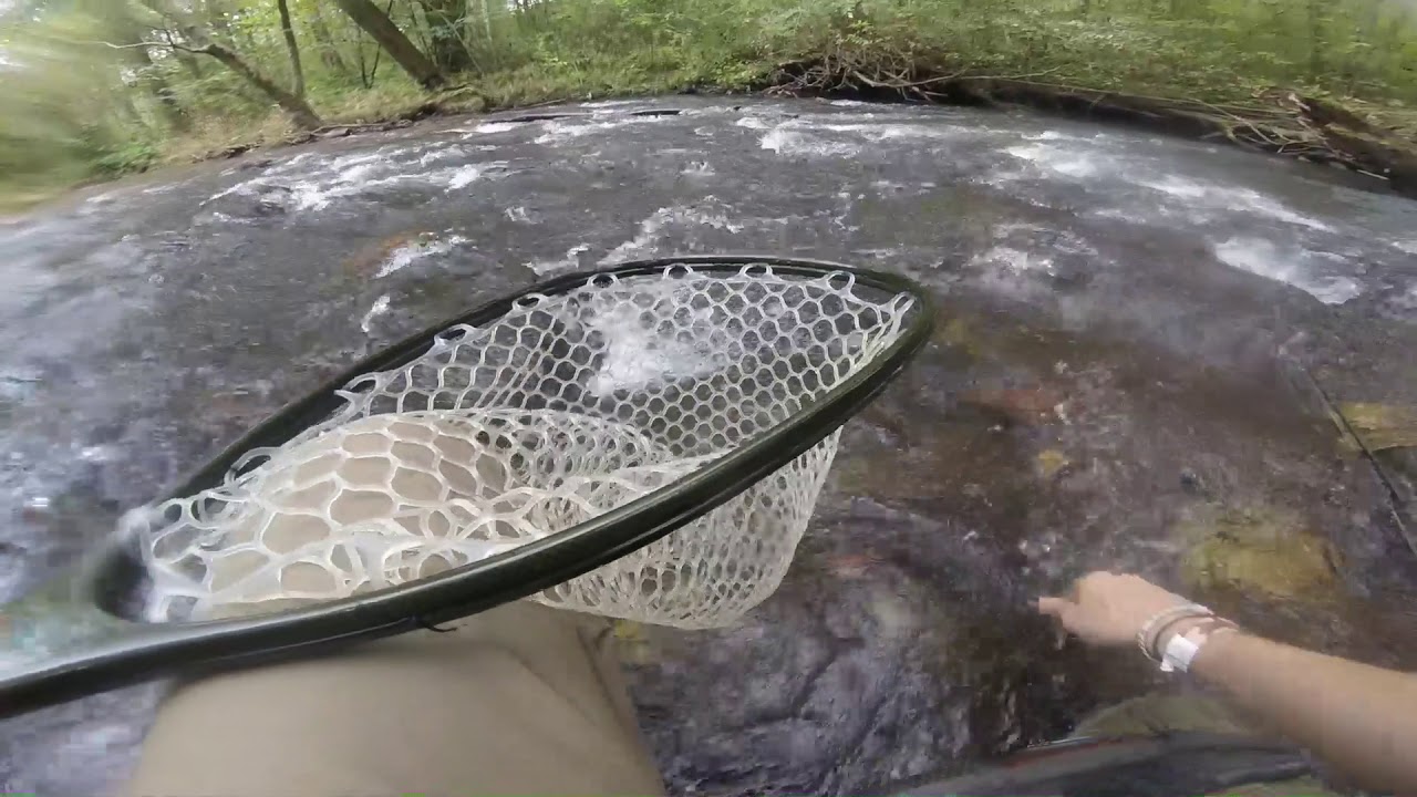 Fly Fishing Episode 7 "The one that got away" YouTube