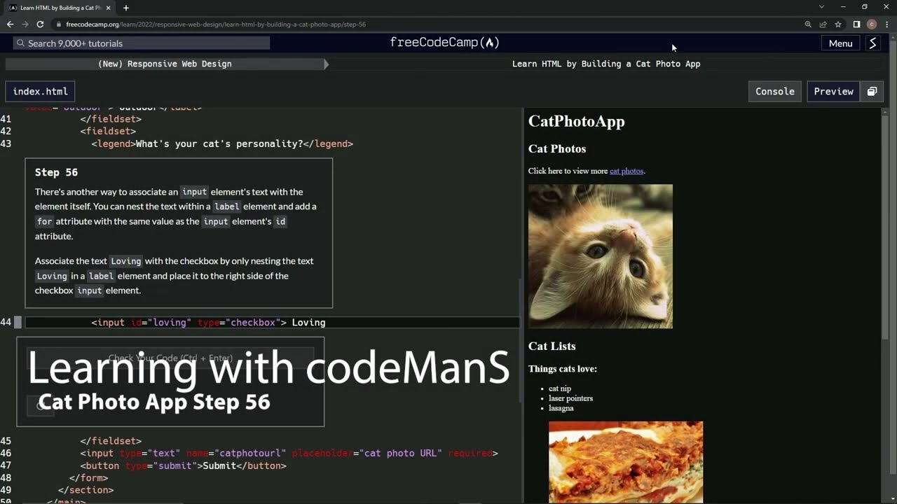 Learn HTML with freeCodeCamp (New) Responsive Web Design - Cat Photo App: Step 56