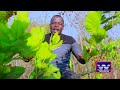 Bhulemela Thomas - Harusi Kwa Kondela - (Official Video) - 0627360706 Mp3 Song