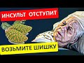Настойка из СОСНОВЫХ ШИШЕК вернет к ЖИЗНИ
