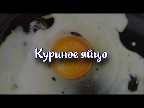 Куриное яйцо - Химический состав