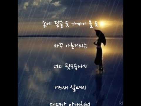 비는 하늘의 눈물 코요테 가사첨부