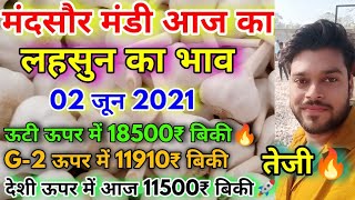 मंदसोर मंडी आज का लहसुन का भाव | Mandsaur Mandi Garlic Rate Today | Garlic Rate Today 02-06-2021