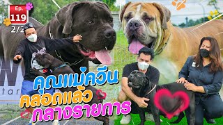 คลอดกลางรายการ!! หนึ่งเดียวในเมืองไทย ASIA BIG DOG - เพื่อนรักสัตว์เอ้ย EP.119 [2/2]
