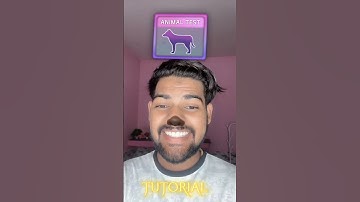 Trying Tiktok Animal Filter | Tutorial | Wait for me🤣 #shorts #tiktok #tutorial #explore