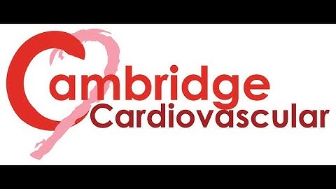 Cambridge Cardiovascular Seminar "Taking control of innate immunity with nanobiologics" WillemMulder