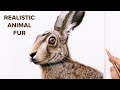 How to draw realistic animal fur hare  pastel art tutorial beginners 4k