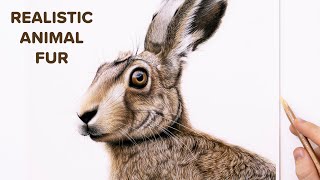 How To Draw Realistic Animal Fur (Hare) - Pastel Art Tutorial BEGINNERS 4K by Shaymus Art Tutorials 8,566 views 1 year ago 15 minutes