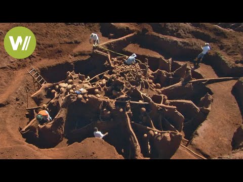 Discovery of a gigantic ant city - Like a wonder of the world!