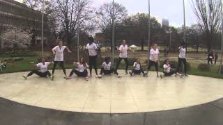 Georgia Tech Greek Week 2014 Stroll (AΓΔ, ΔΣΘ, ΦM)