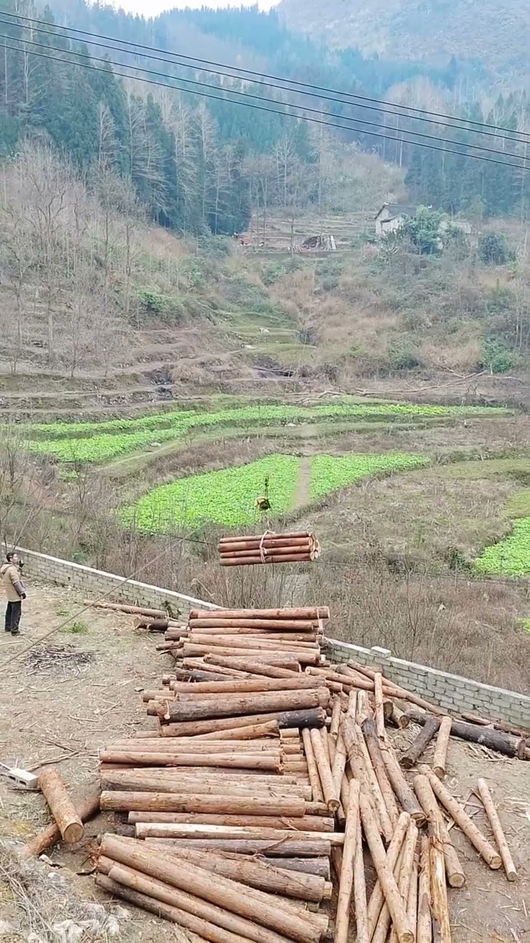 The process of ziplining the timber of the ravine- Good tools and machinery make work easy