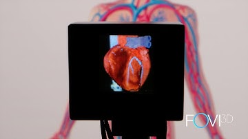 FoVI3D Full Color, Dynamic 3D Light-field Display