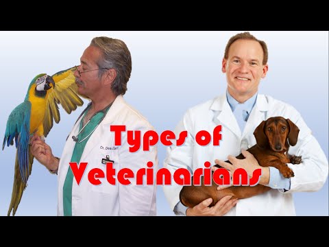 Types of Veterinarians