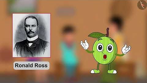 Diseases from Mosquitoes | Part 1/1 | English | Class 5