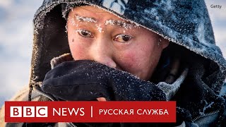 Вечная мерзлота в Сибири тает. Как это влияет на климат и условия жизни