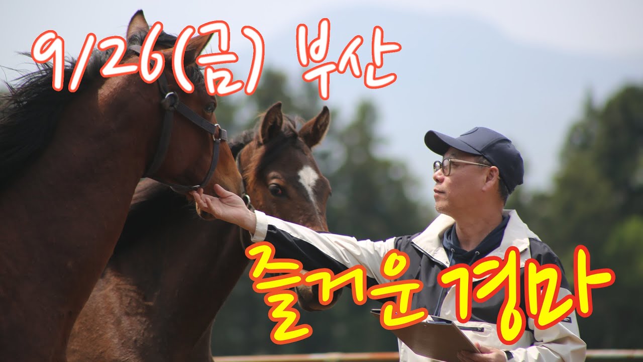 김호경마 9월 26일 금요일 부산경마방송