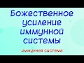 Божественное усиление иммунной системы