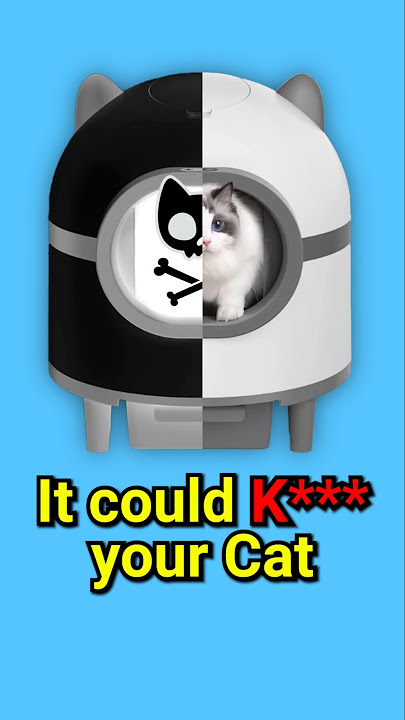 A Dangerous Cat Litter Box
