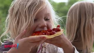 Bingo Auf Dem Gut Herbigshagen