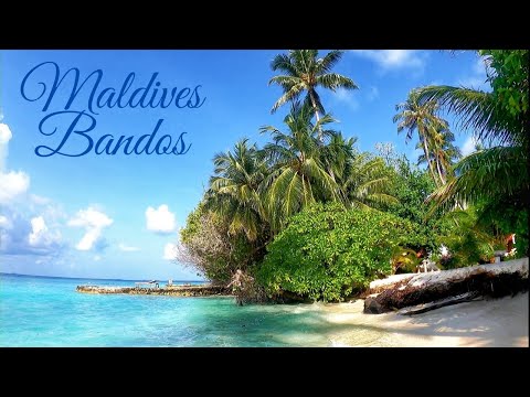 Videó: Könyveskereskedő Munka Maldív-szigeteken