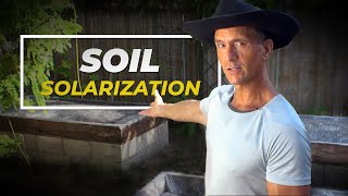 3 Reasons to Solarize Your Garden (& How to Do It Correctly)