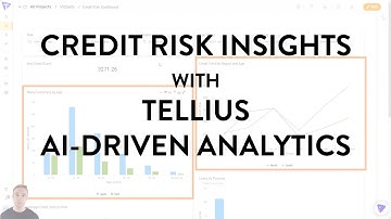 Credit Risk Insights - Analyzing, Predicting, and Operationalizing Risk Insights with Tellius