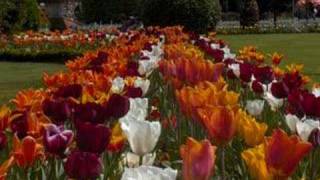 Bekle Bizi İstanbul