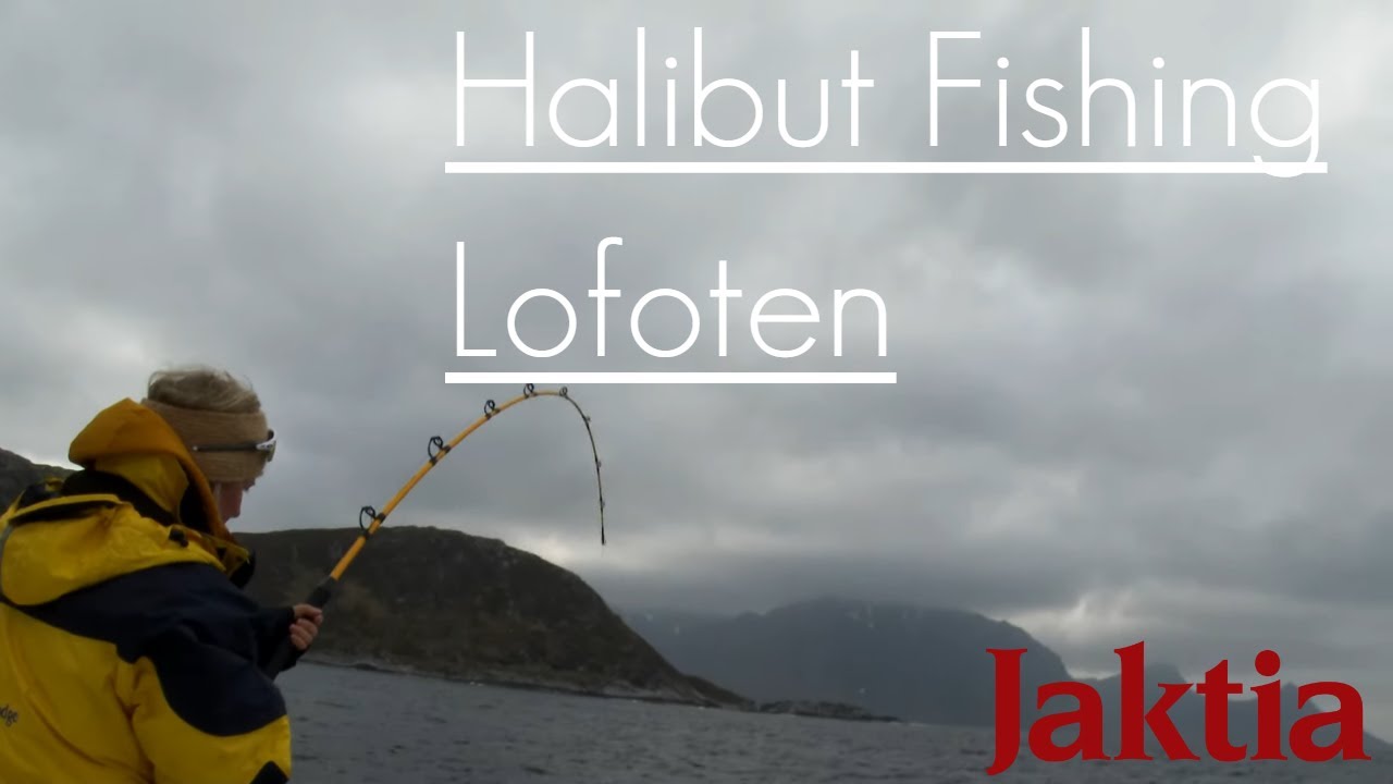 Kveite - og torskefiske i Lofoten 2021 / Halibut and Cod fishing in Norway