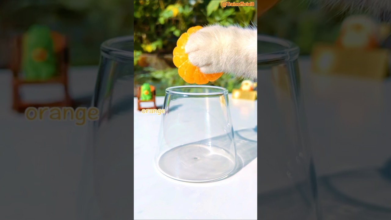 ‎【Chef Cat ChangAn】Drinking Orange Soda is like In Summer 