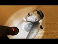 It was all a dream.? (Wonder vr movie part 1) feat: @Jamershrein_games-g7q