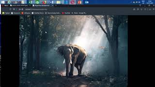 How to make a mouse responsive background