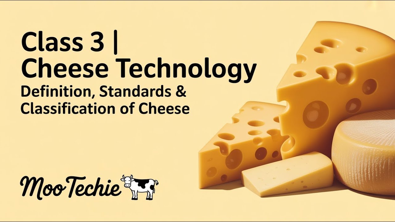 Class 3 | Cheese Technology | Definition, Standards & Classification of Cheese | Moo Techie