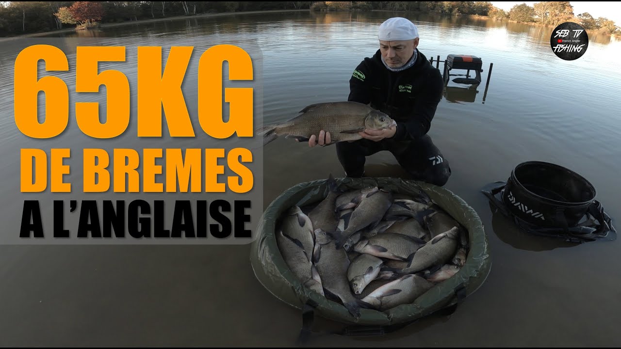 👊 65KG de BRÈMES GEANTES | PÊCHE à l'ANGLAISE au Taillis des Landes