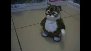 Музыкальный кот Музыкальный кот