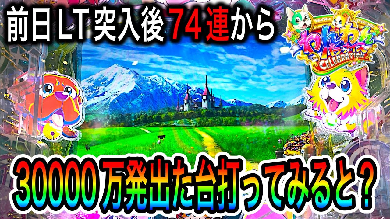 【やっぱりセレブレーションは◯◯‼️】PAわんわんセレブレーションAGBD実践動画‼️