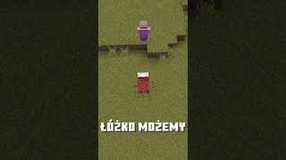 Najbardziej Nielogiczne Rzeczy W Minecraft... 203 #shorts