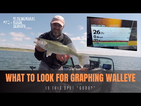 What To Look For Graphing Walleye - Is This Spot Good? 