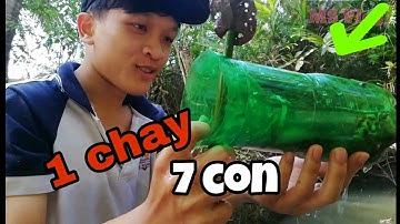 [THỬ THÁCH] BẮT CÁ BÓNG DỪA BẰNG CHAY NHỰA _NƯỚNG TRUI ĂN TẠI ĐỒNG?