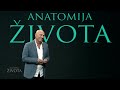 Šetnja, koštana srž, 'ruski i francuski penicilin' | Epizoda 15 | Anatomija života | Hayat TV