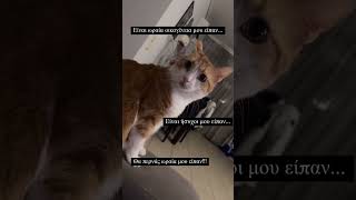 Θα περάσεις ωραία μου είπαν 😂 #κατοικιδια