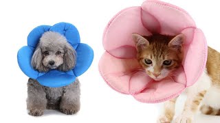 Pet Cone Recovery Neck Collar 🐾 Dog Cat Soft Cone Anti bite Collar screenshot 4