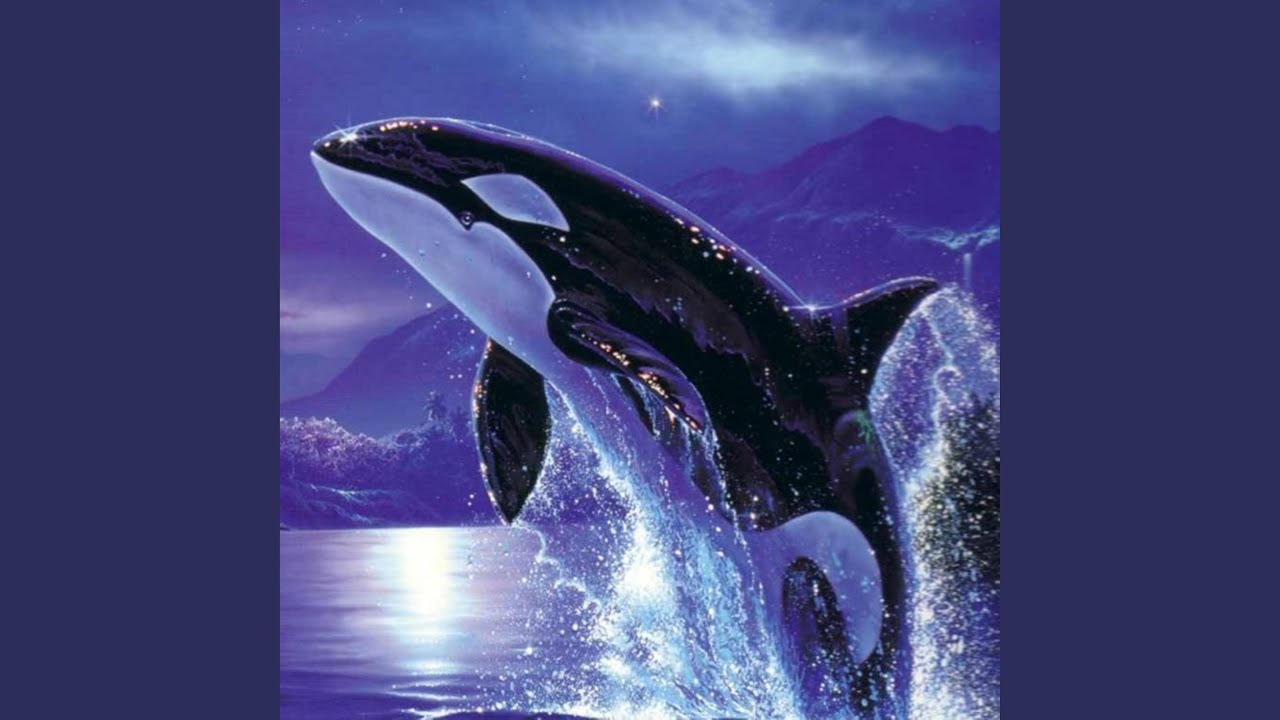Orca adlı videoyu YouTube'da izle Orca adlı videoyu YouTube'da izle