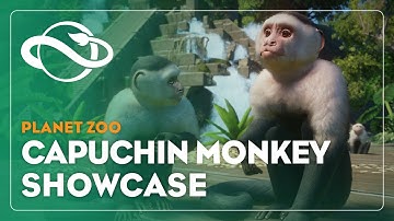 Planet Zoo | Capuchin Monkey Showcase