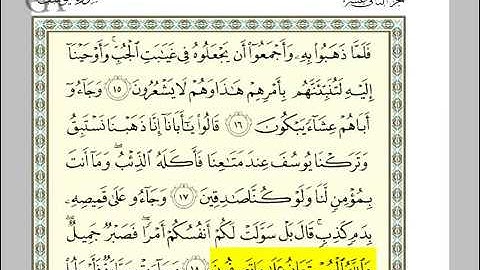 سورة يوسف من الاية 14 إلى 18 بصوت الحصري والعفاسي (4)