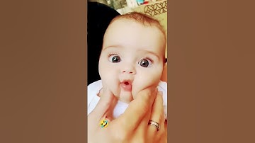 Thumbnail of Cute Baby , Papa #cute #comedy #shorts #pimpimanimation #animals #pompom pom pom poms पोम पोम पोम
