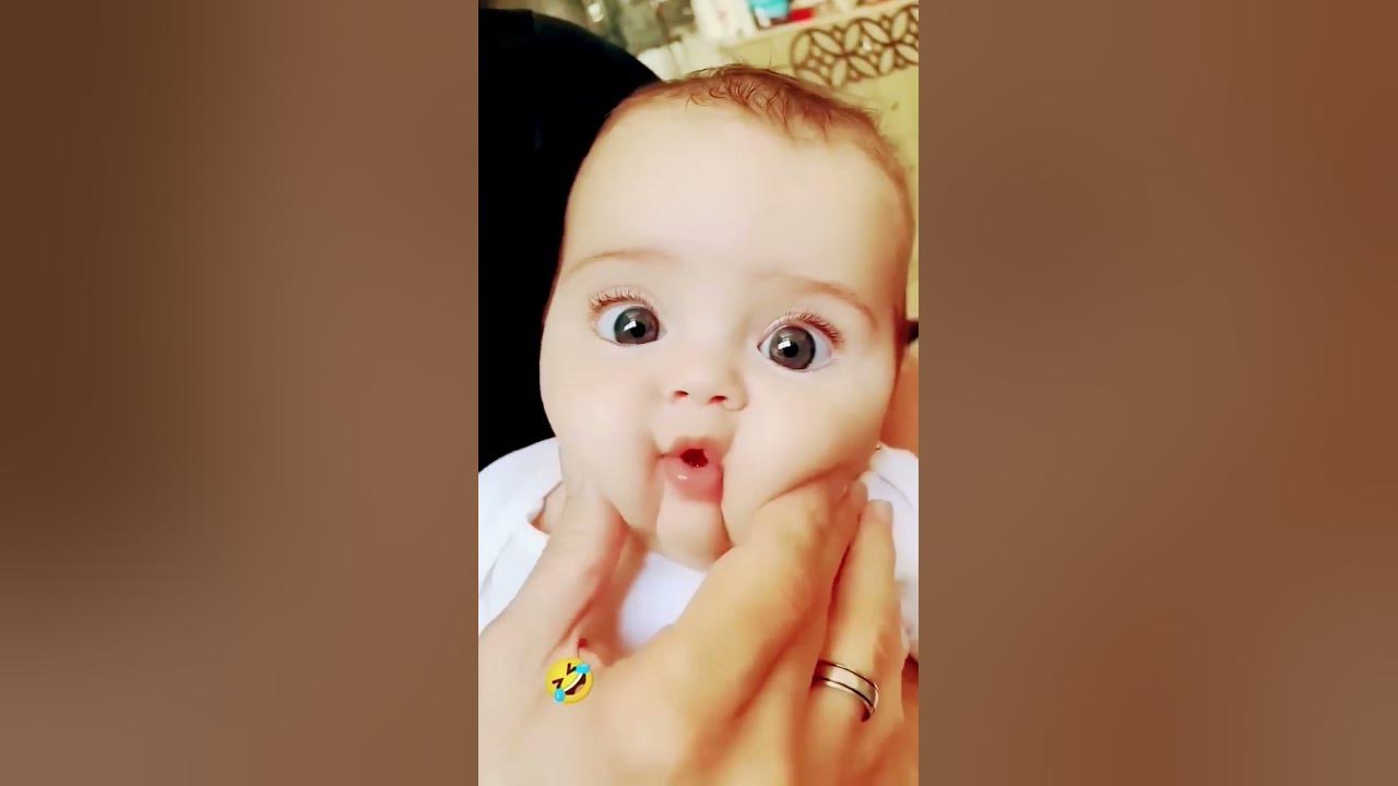 Cute Baby , Papa #cute #comedy #shorts #pimpimanimation #animals #pompom pom pom poms पोम पोम पोम