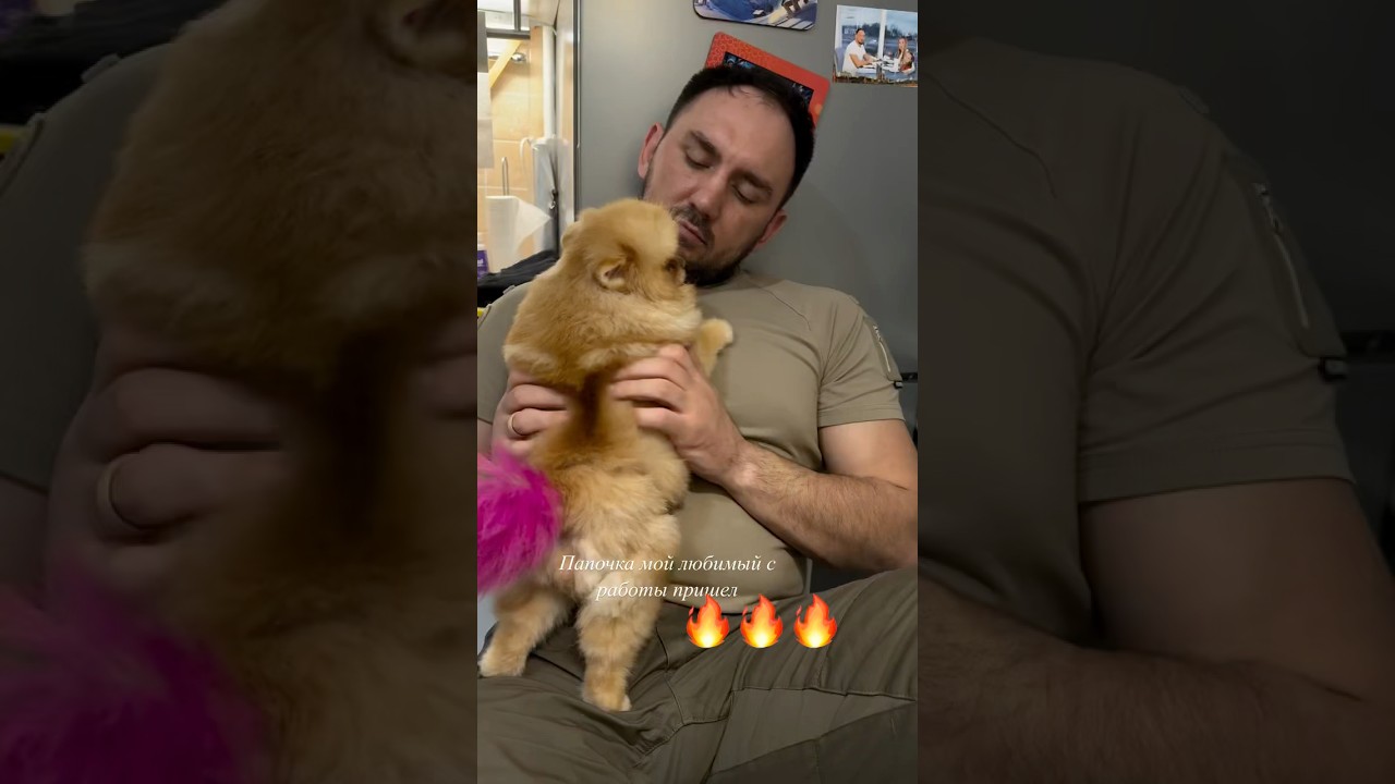 СТУКАЧ МЕЛКИЙ😉 