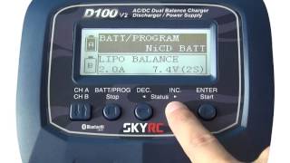 D100 V2 - 1st Voice Guide charger