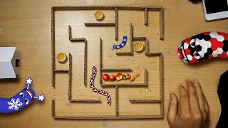 Worm zone real life - WormsZone.io viral video - Maze #3