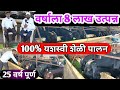 शेतीला जोडधंदा केले शेळीपालन/25 वर्षापासून यशस्वी शेळी पालन/Beetal Goat Farm/Sheli Palan